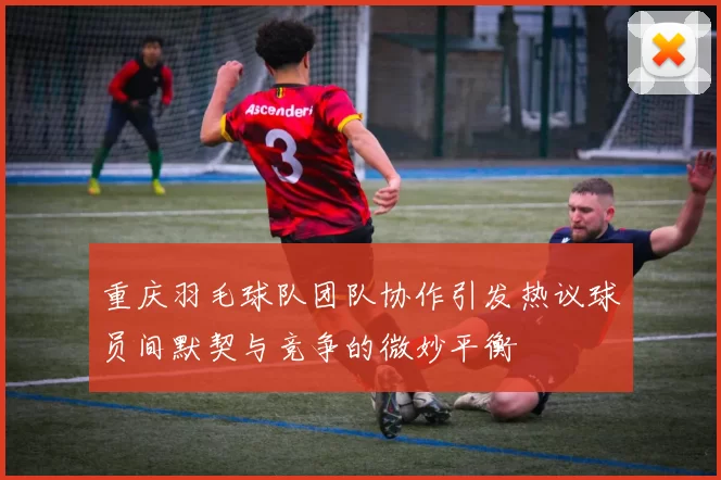 重庆羽毛球队团队协作引发热议球员间默契与竞争的微妙平衡