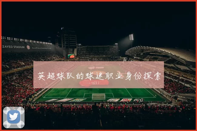 英超球队的球迷职业身份探索