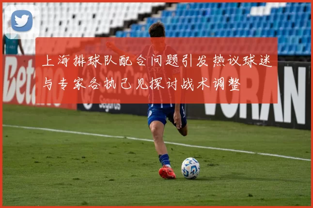 上海排球队配合问题引发热议球迷与专家各执己见探讨战术调整
