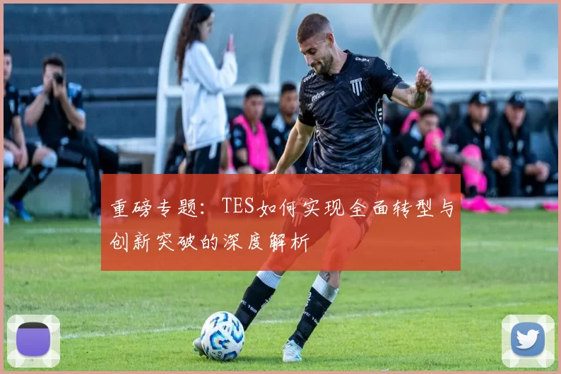 重磅专题：TES如何实现全面转型与创新突破的深度解析
