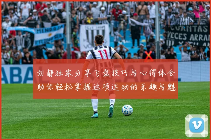 刘静独家分享飞盘技巧与心得体会助你轻松掌握这项运动的乐趣与魅力