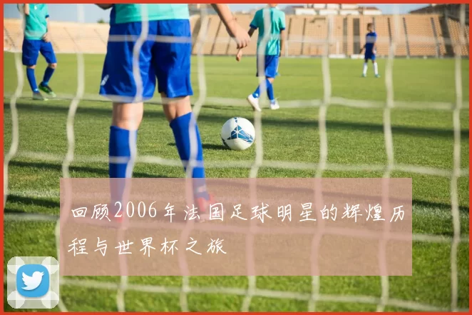 回顾2006年法国足球明星的辉煌历程与世界杯之旅