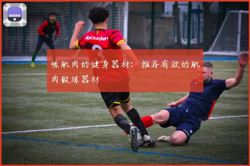 练肌肉的健身器材：推荐有效的肌肉锻炼器材