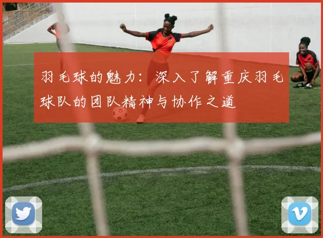 羽毛球的魅力：深入了解重庆羽毛球队的团队精神与协作之道