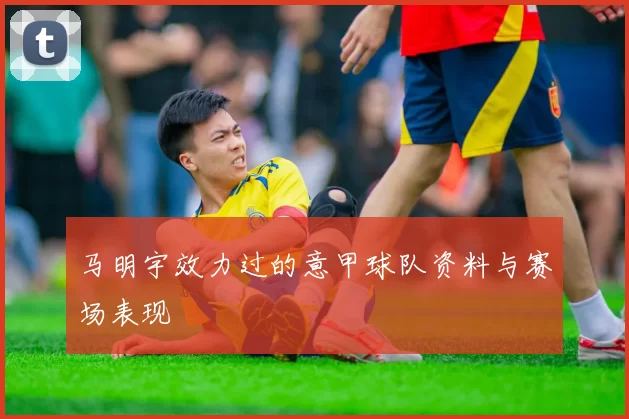 马明宇效力过的意甲球队资料与赛场表现