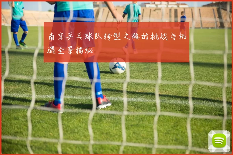 南京乒乓球队转型之路的挑战与机遇全景揭秘