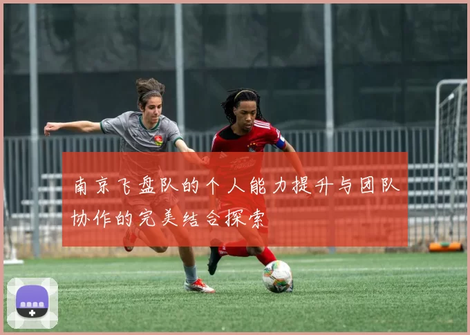 南京飞盘队的个人能力提升与团队协作的完美结合探索