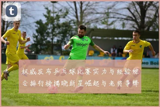 权威发布乒乓球比赛实力与经验综合排行榜揭晓新星崛起与老将争锋