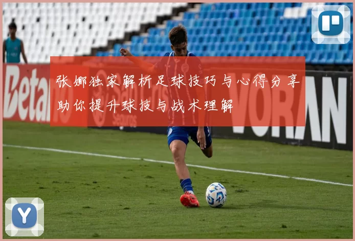 张娜独家解析足球技巧与心得分享助你提升球技与战术理解