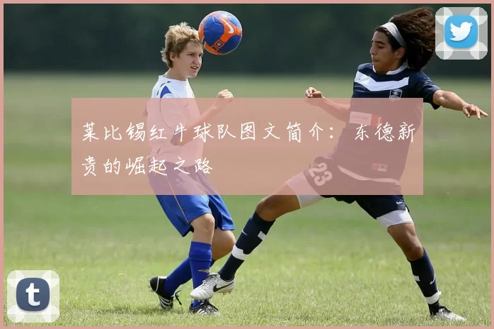莱比锡红牛球队图文简介：东德新贵的崛起之路