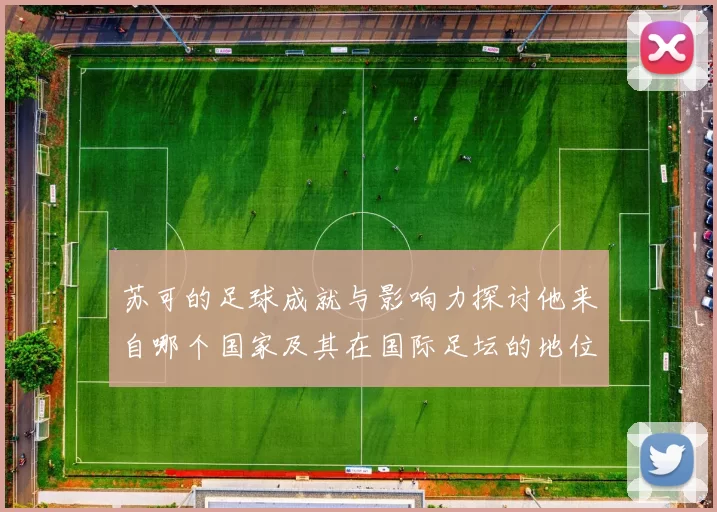 苏可的足球成就与影响力探讨他来自哪个国家及其在国际足坛的地位