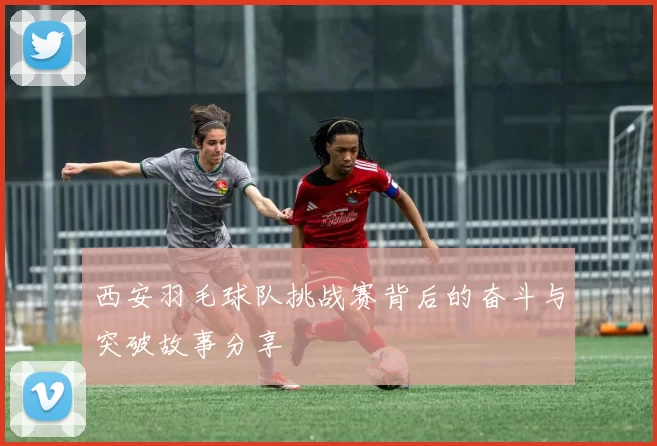 西安羽毛球队挑战赛背后的奋斗与突破故事分享